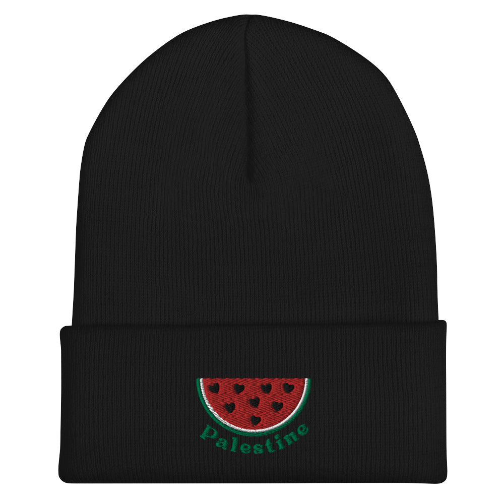 Palestine Melon Beanie