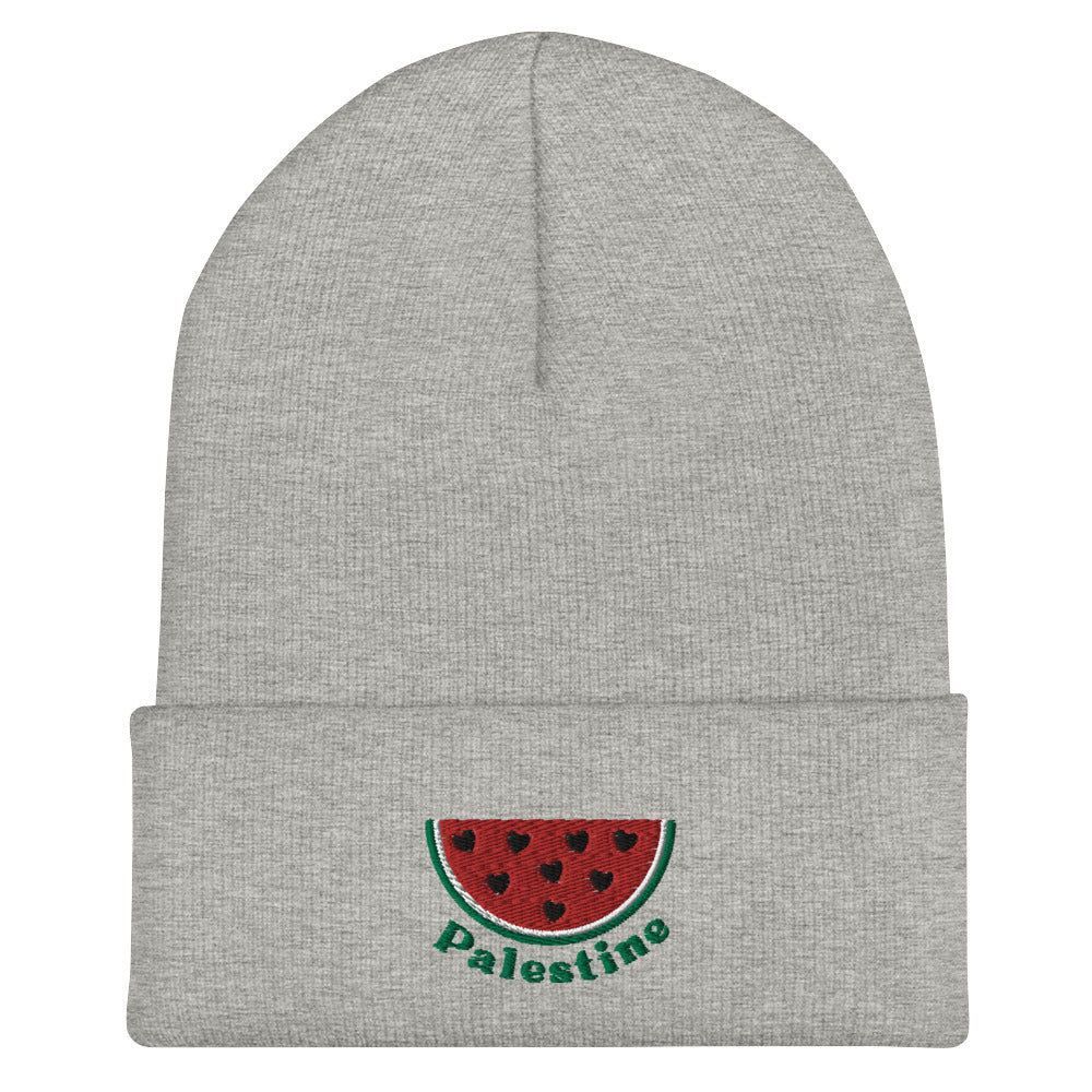 Palestine Melon Beanie