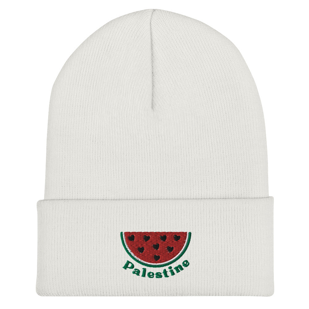 Palestine Melon Beanie